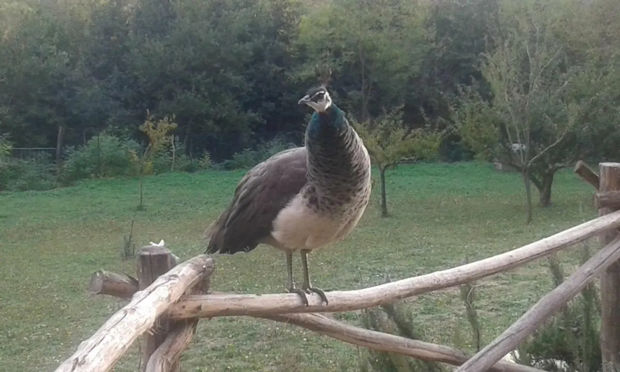 Mulino A Vento Villa Fauglia Nyaraló