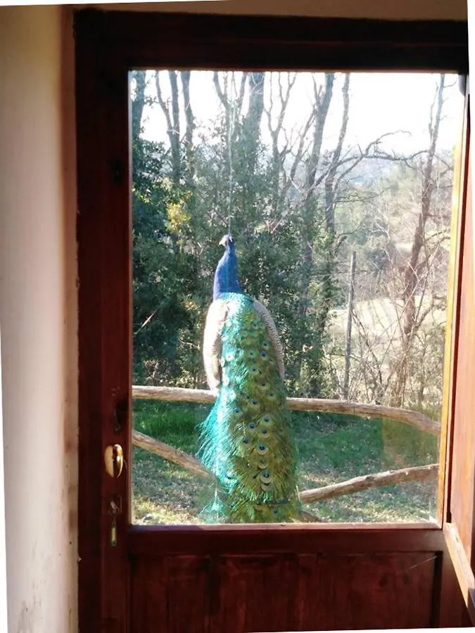 Holiday home Mulino A Vento Villa Fauglia