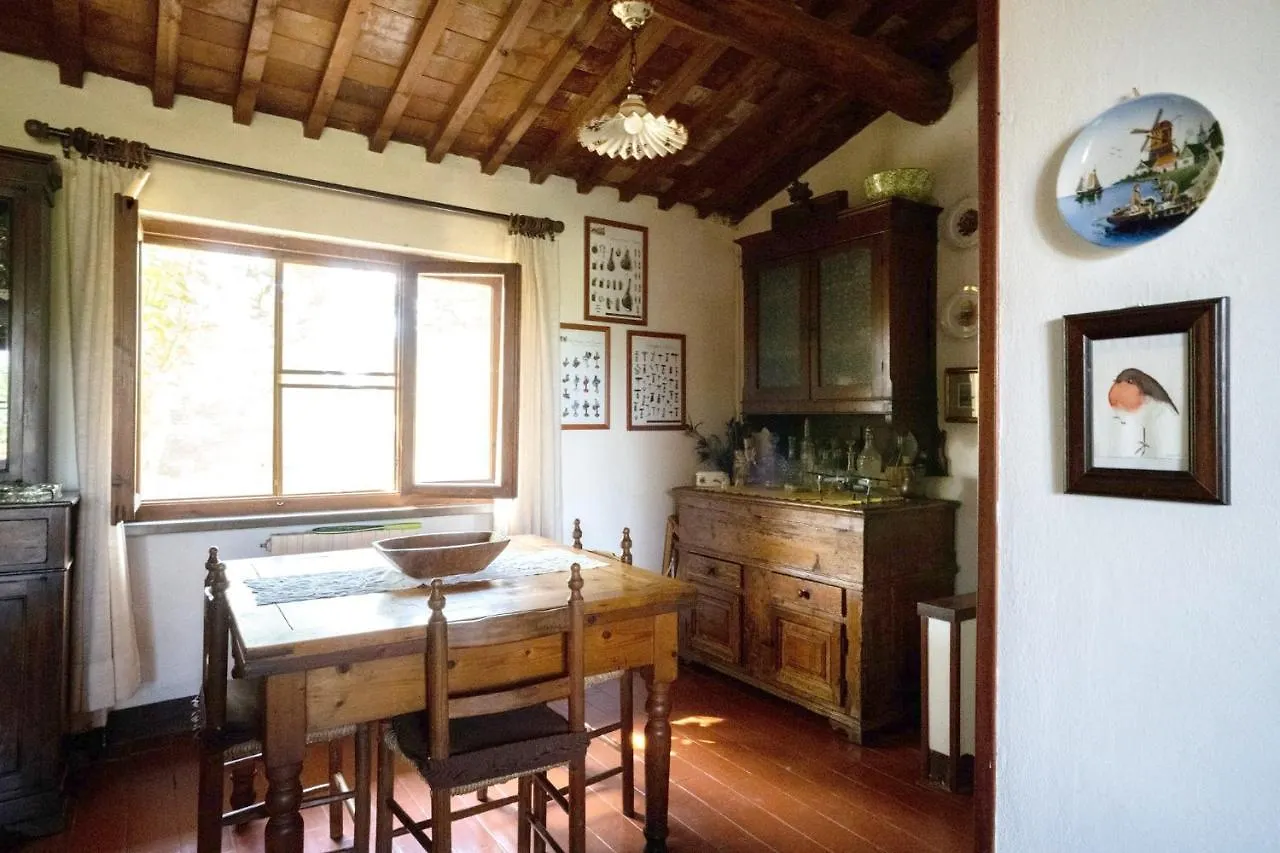 Mulino A Vento Villa Fauglia