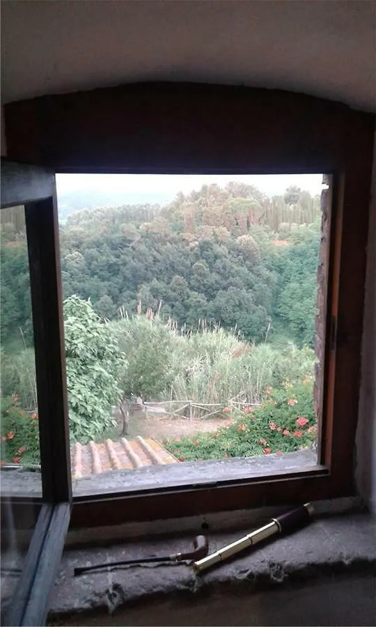 Holiday home Mulino A Vento Villa Fauglia