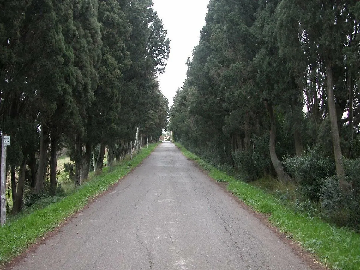 Holiday home Mulino A Vento Villa Fauglia